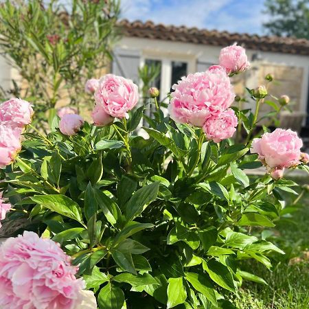 Mas La Farelle Gite, Fitness & Salle De Jeux Gratuite & Spa En Supplement Nimes Bagian luar foto