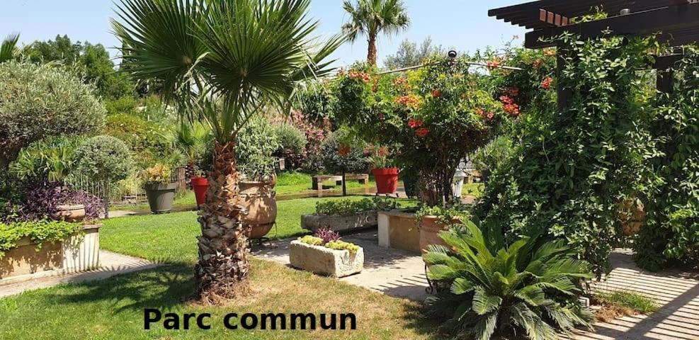 Mas La Farelle Gite, Fitness & Salle De Jeux Gratuite & Spa En Supplement Nimes Bagian luar foto