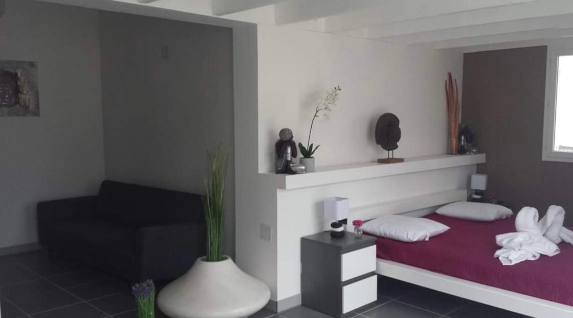 Mas La Farelle Gite, Fitness & Salle De Jeux Gratuite & Spa En Supplement Nimes Bagian luar foto